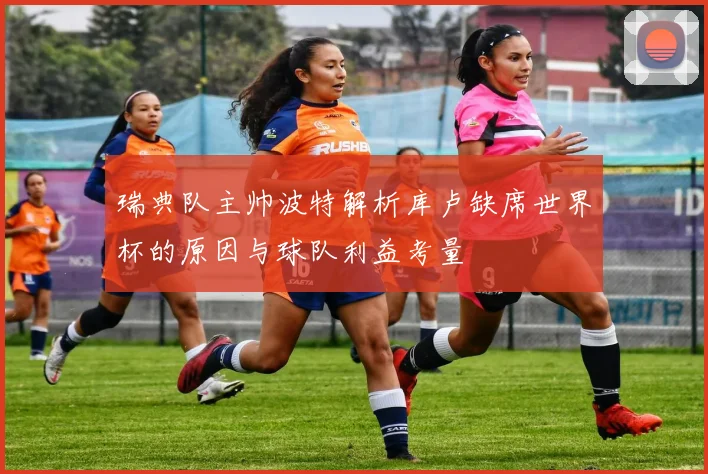 瑞典队主帅波特解析库卢缺席世界杯的原因与球队利益考量
