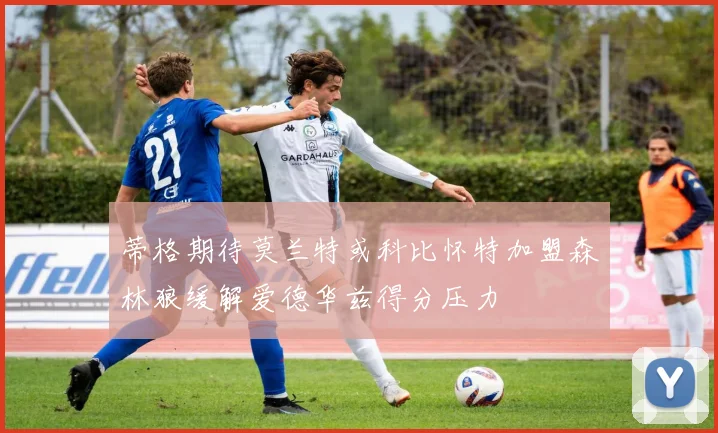 蒂格期待莫兰特或科比怀特加盟森林狼缓解爱德华兹得分压力